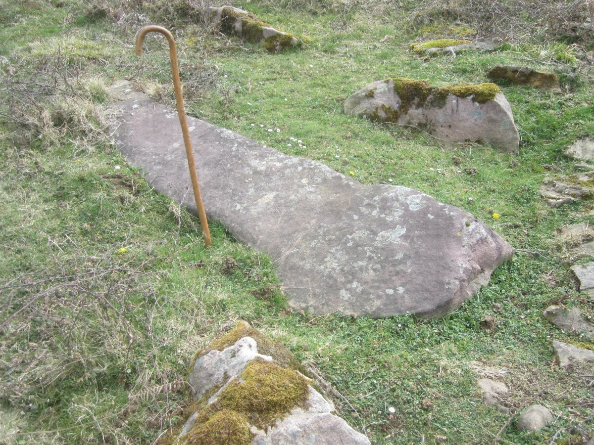 Monolito Tranpa (Marzo 2022)