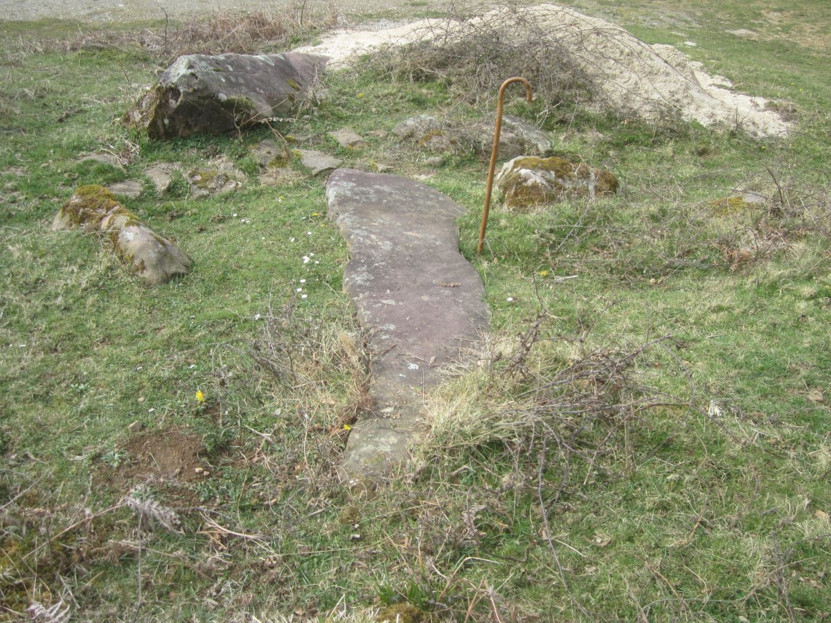 Monolito Tranpa (Marzo 2022)