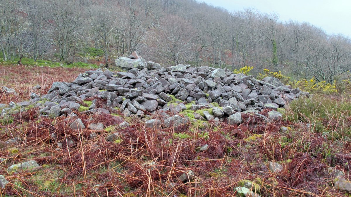 Aznabasterra trikuharria, Erratzu-Baztan