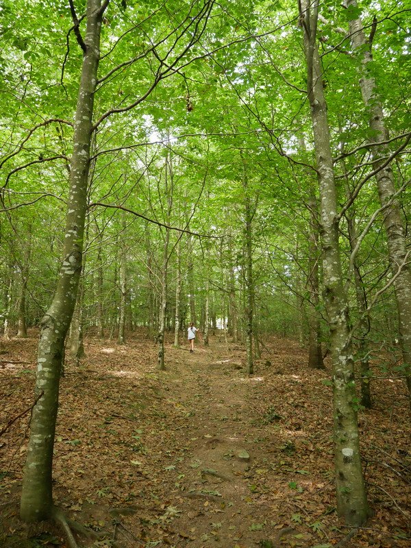 Pagadia ibilbidearen hasieran