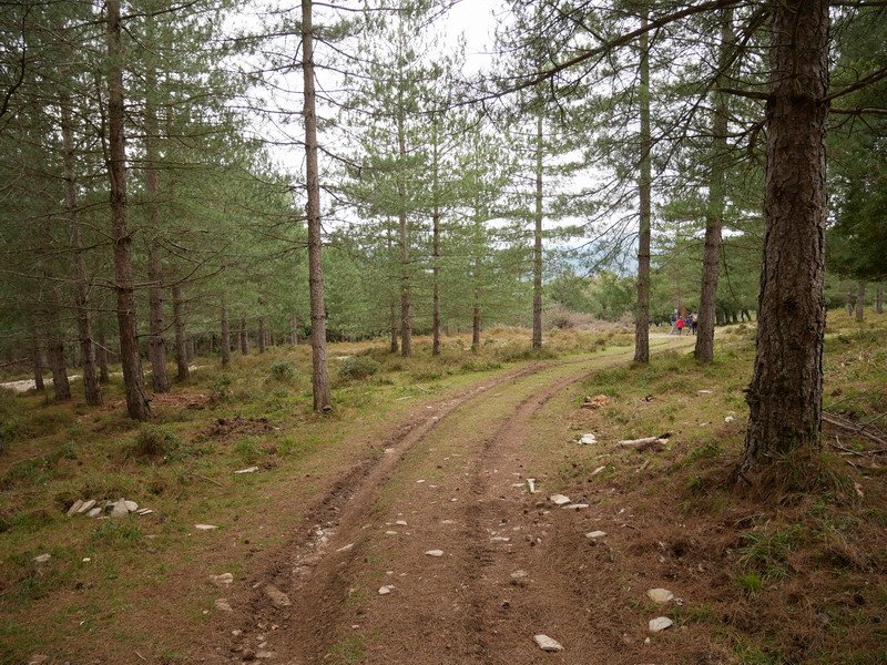 Hego-mendebaldeko bidea