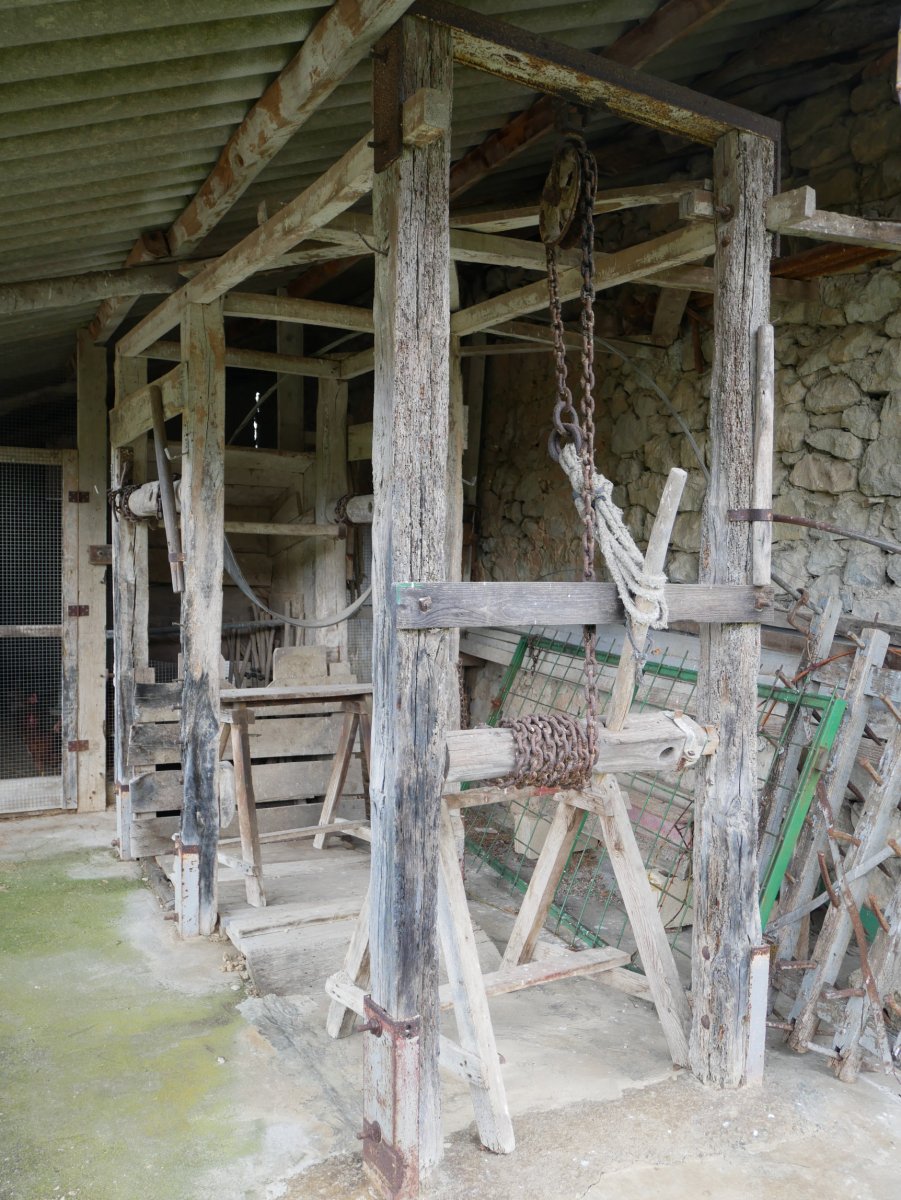 Illarraltzuetako perratokia