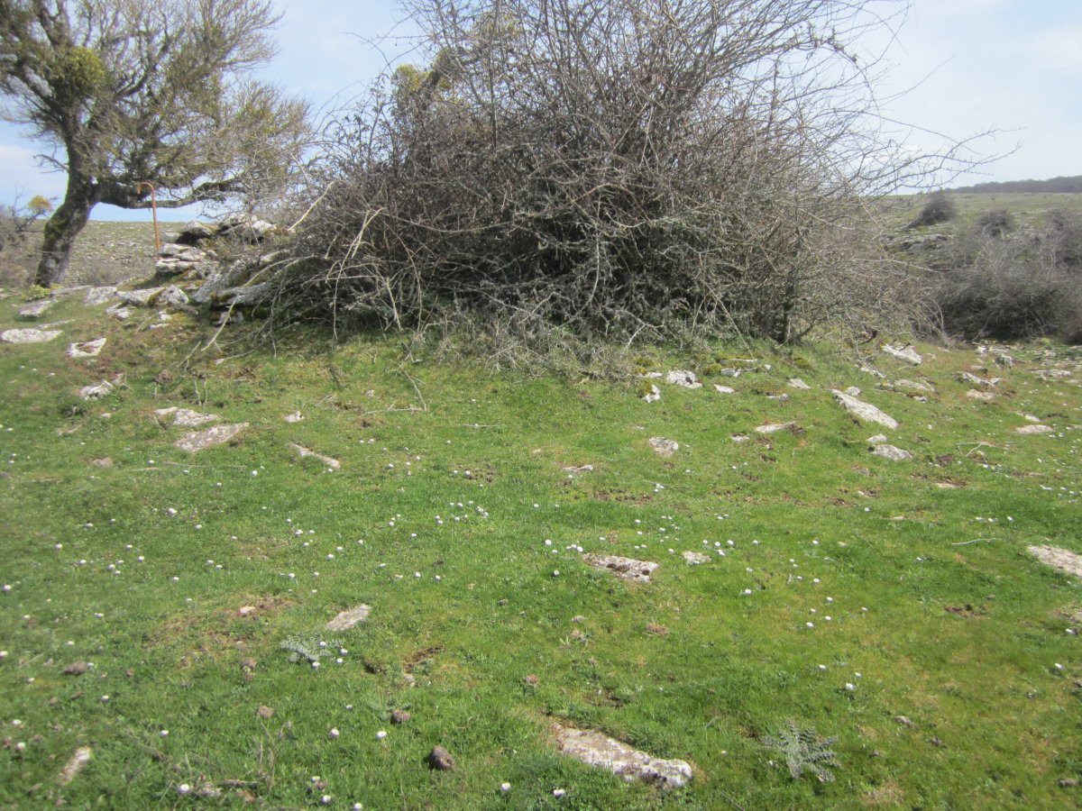 Txabola Tumular Osaleze (Abril 2022)