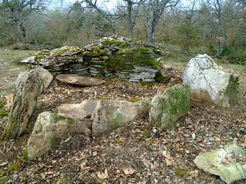 komostarri trikuharria