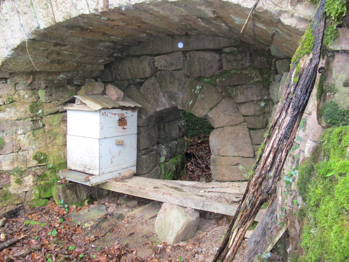 Etxetxipiko karobia, Beartzun-Baztan