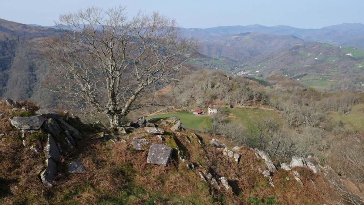 Bagarate Gaineko Harrietatik