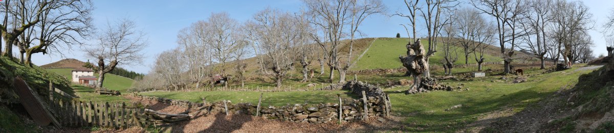 Olako borda eta inguruak