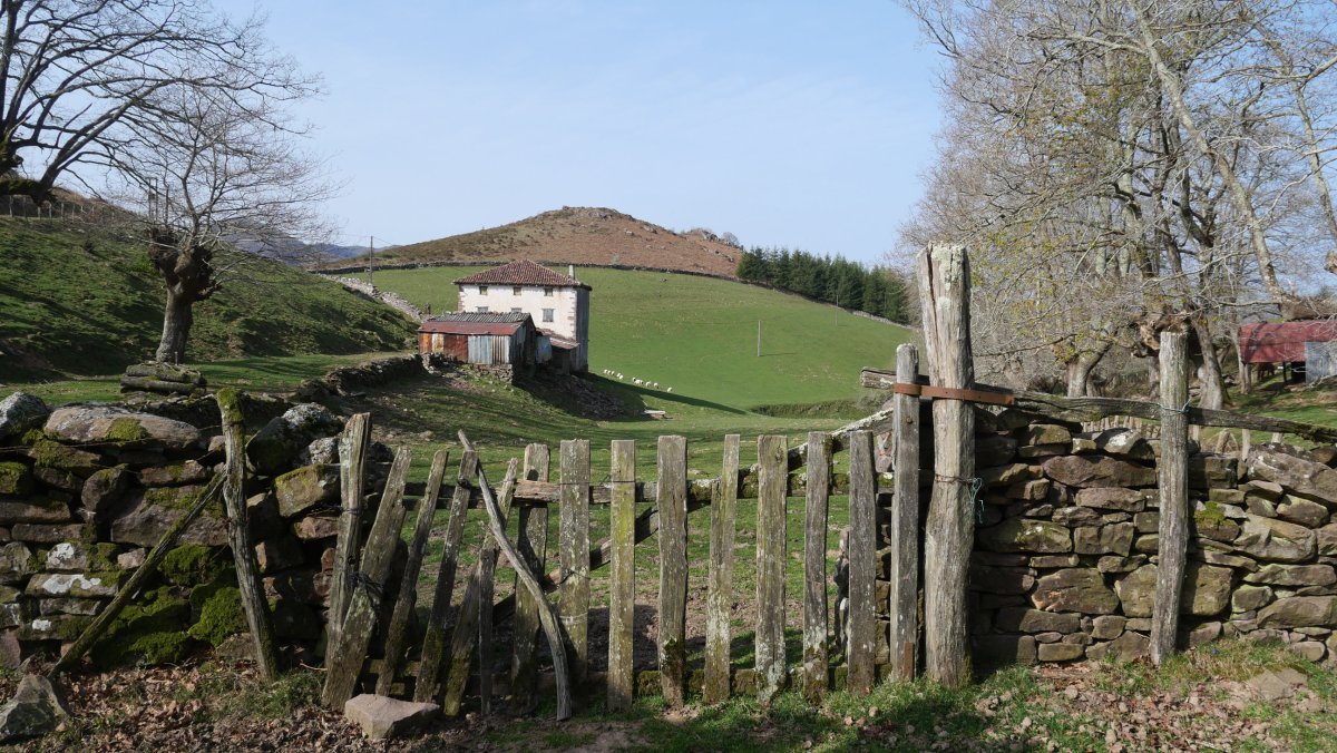 Olako borda, atzean Gaineko HarrIeta duela