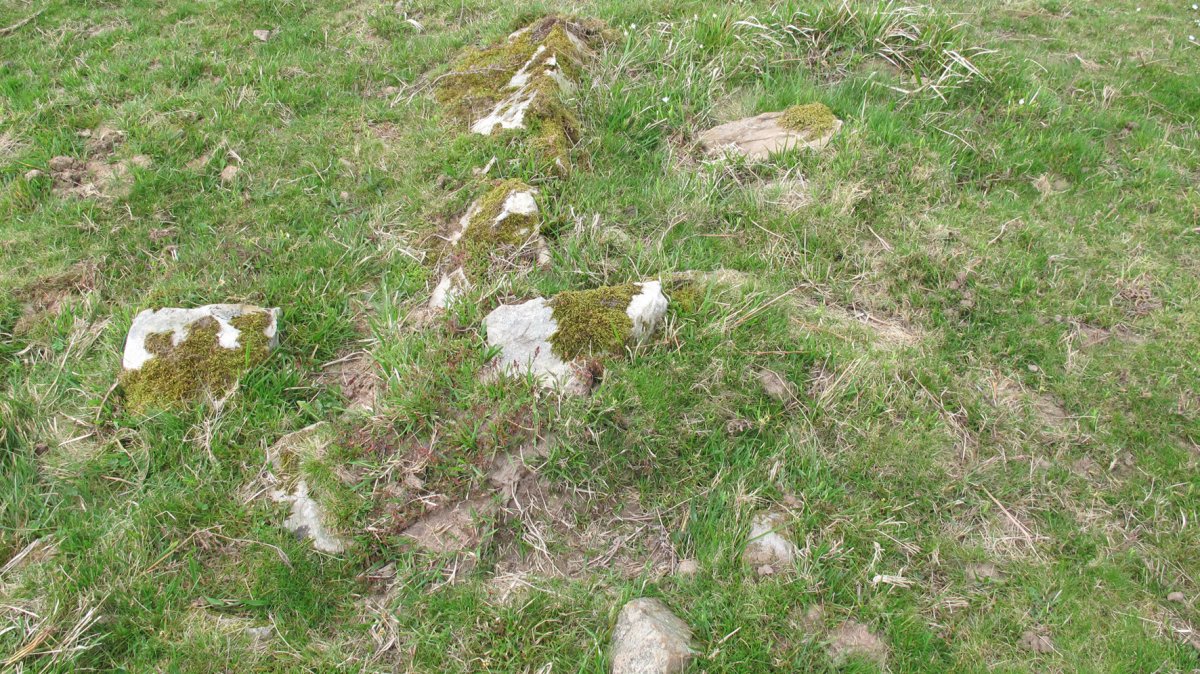 Oiza este trikuharria, Berro-Baztan