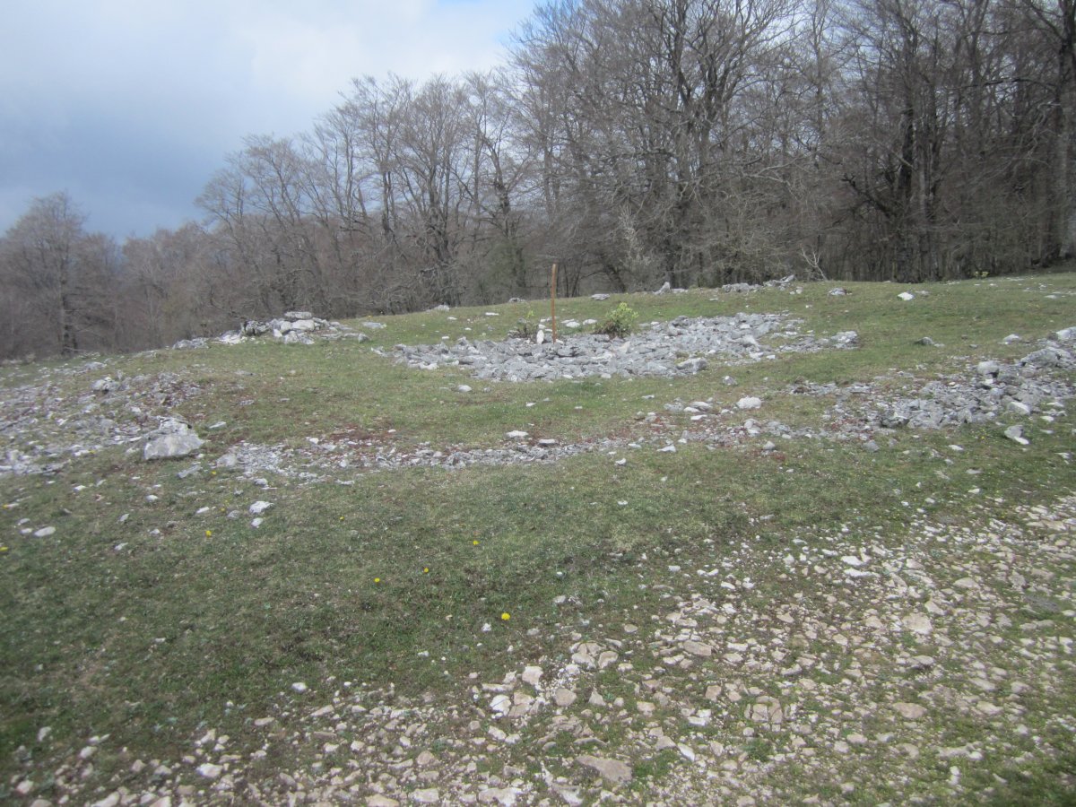 Túmulo Anular Bardoitza IV (Abril 2022)