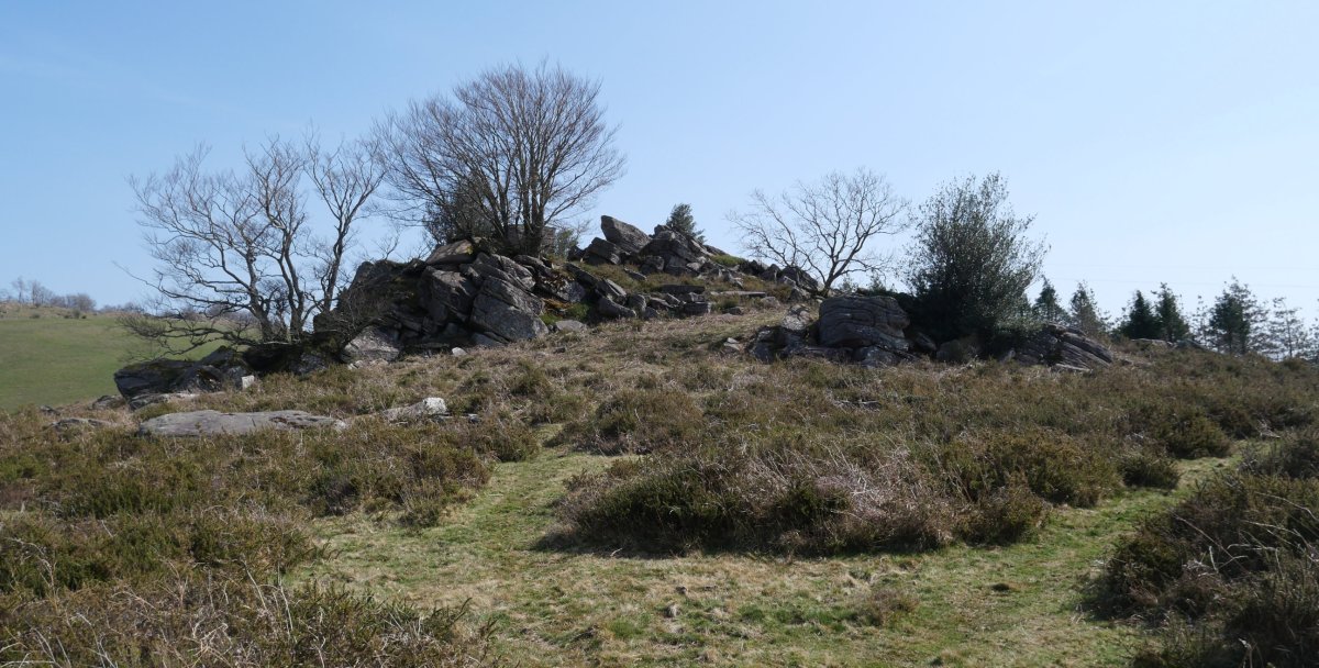 Beste muino harritsu bat Bagobilleta inguruan