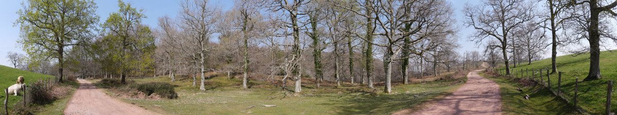 Irazakuko bidea, Zentinelako hegoaldeko lepoan