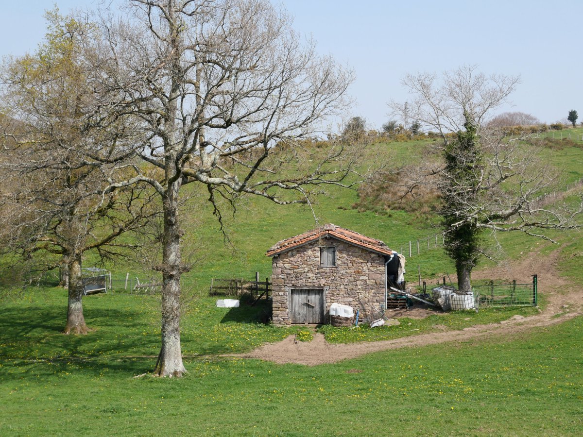 Borda, Oianberri aldean