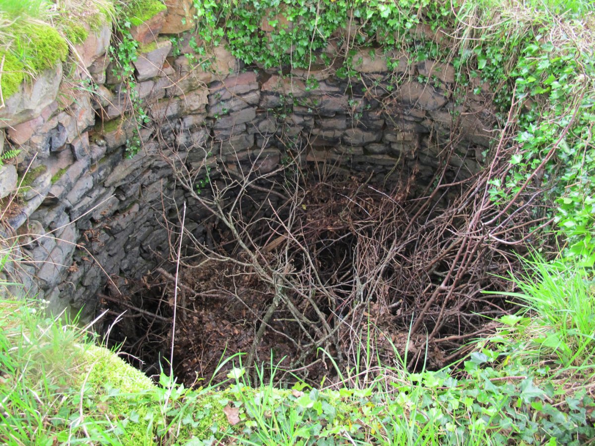 Petrinea karobia, Gartzain-Baztan