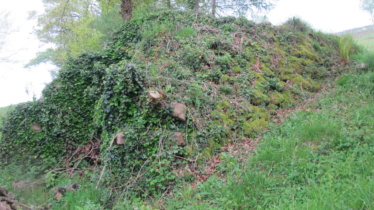 Petrinea karobia, Gartzain-Baztan