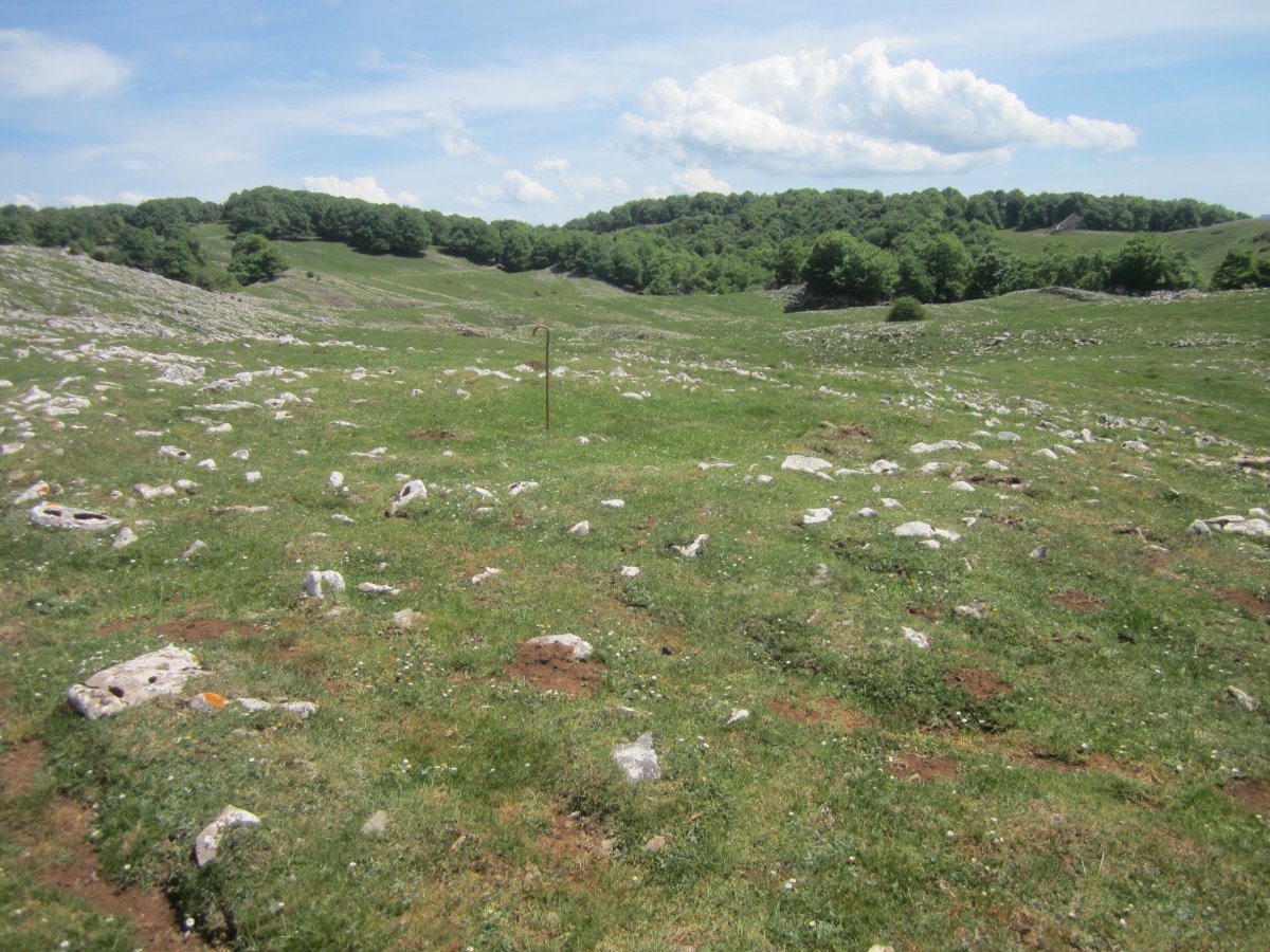 Túmulo Anular Motzeneko Txabola II (05-2022)