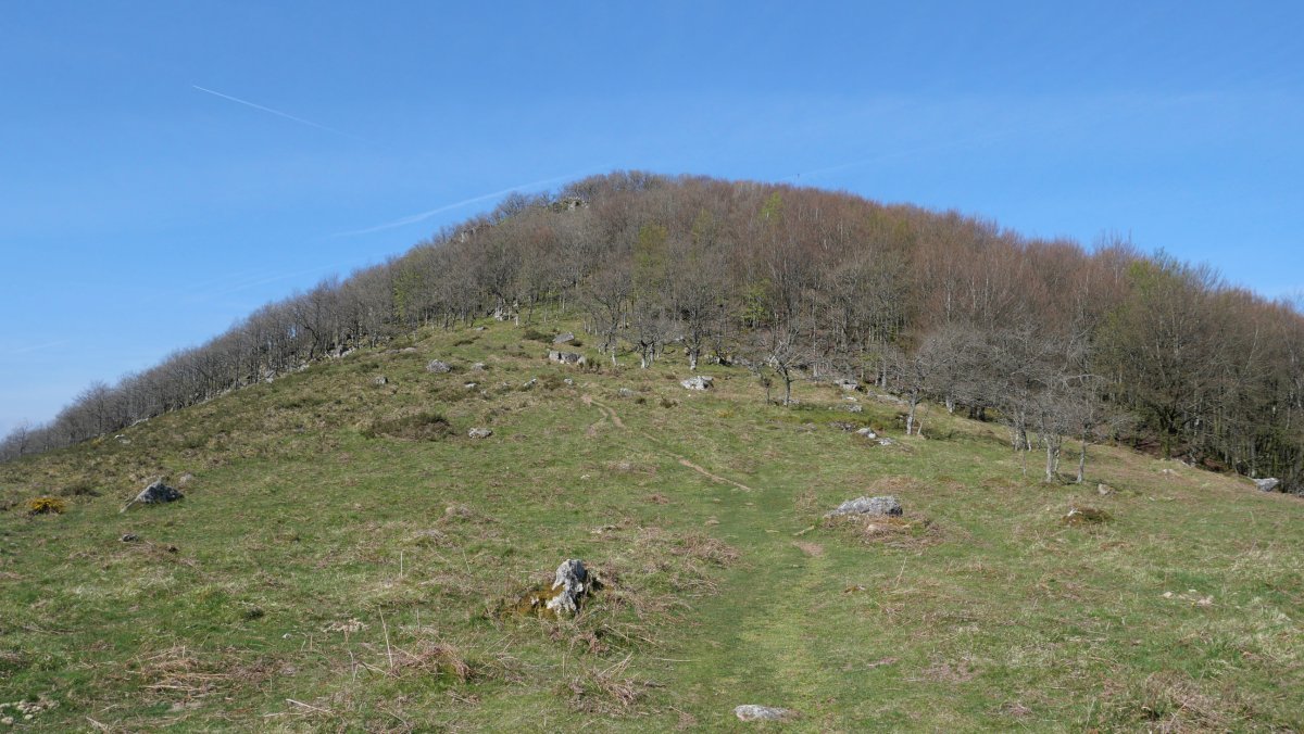 Arramia ekialdeko lepotik