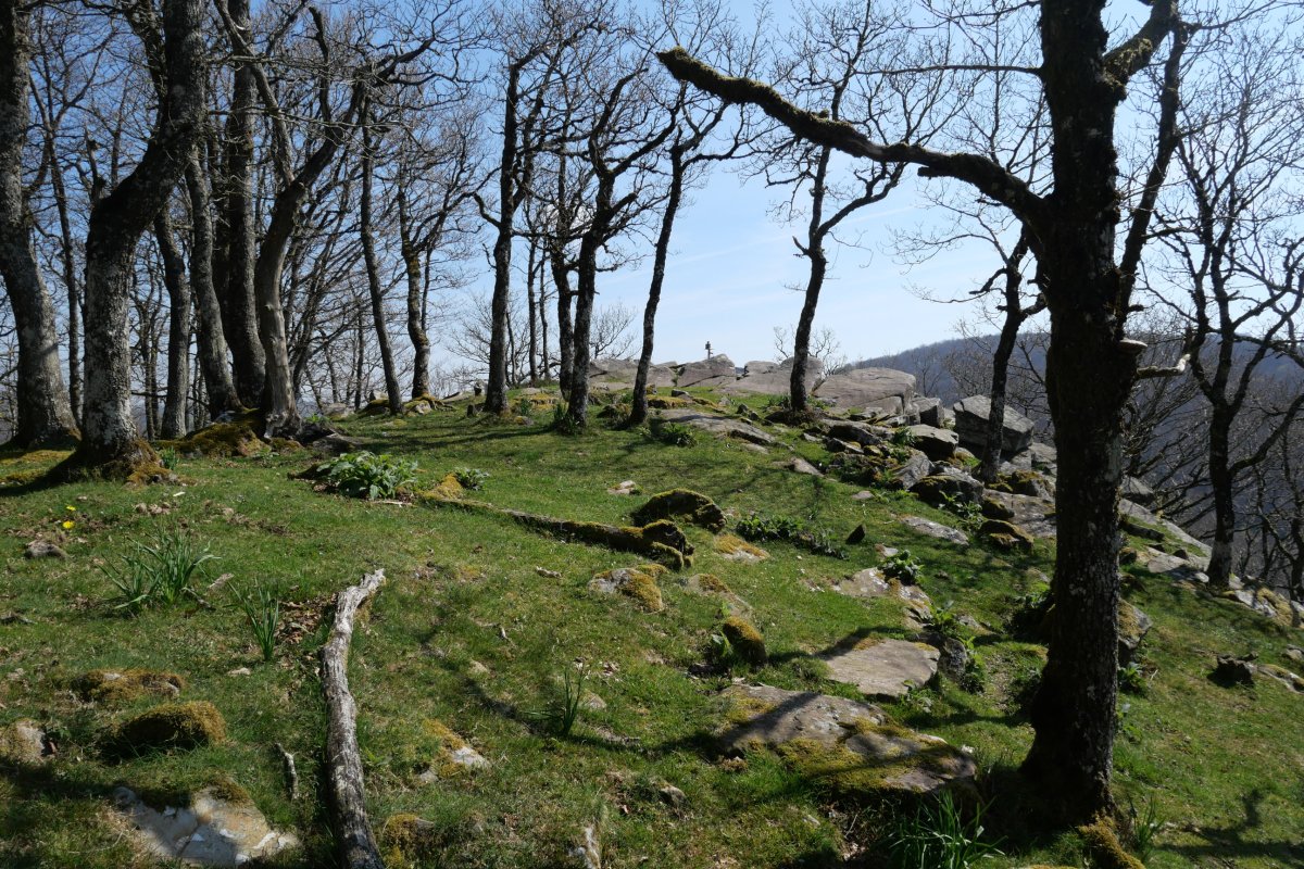 Tontorraren inguruak