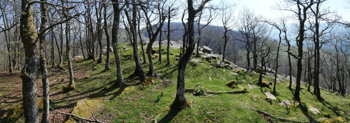 Tontorraren inguruak