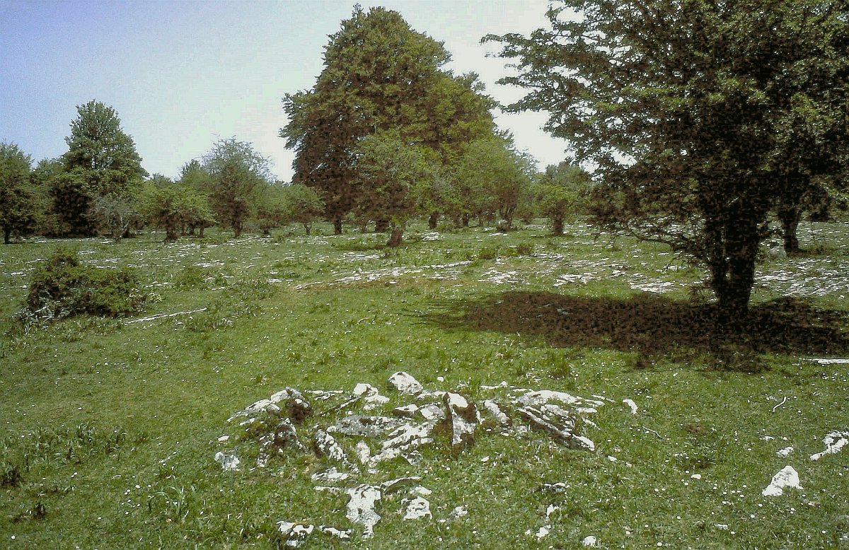 Túmulo Armorkora 1 (IV) (Junio 1984) Foto Luis Millán