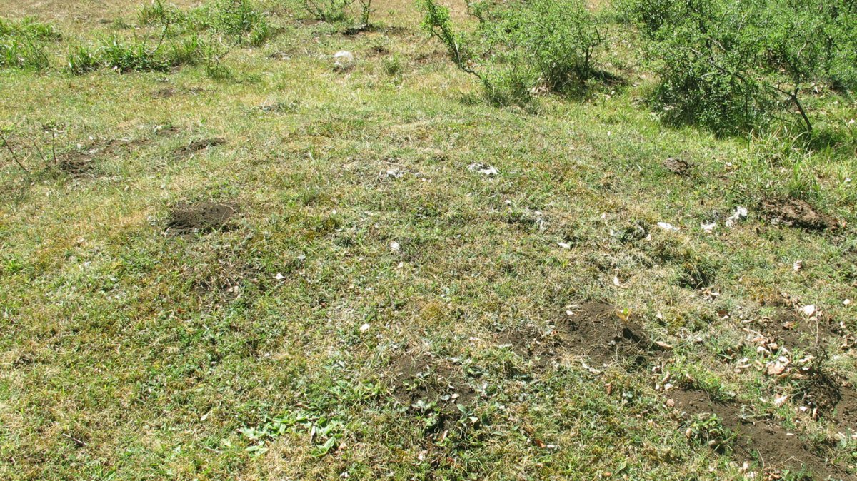 Rasico del Mojón III tumulua, Urbasa