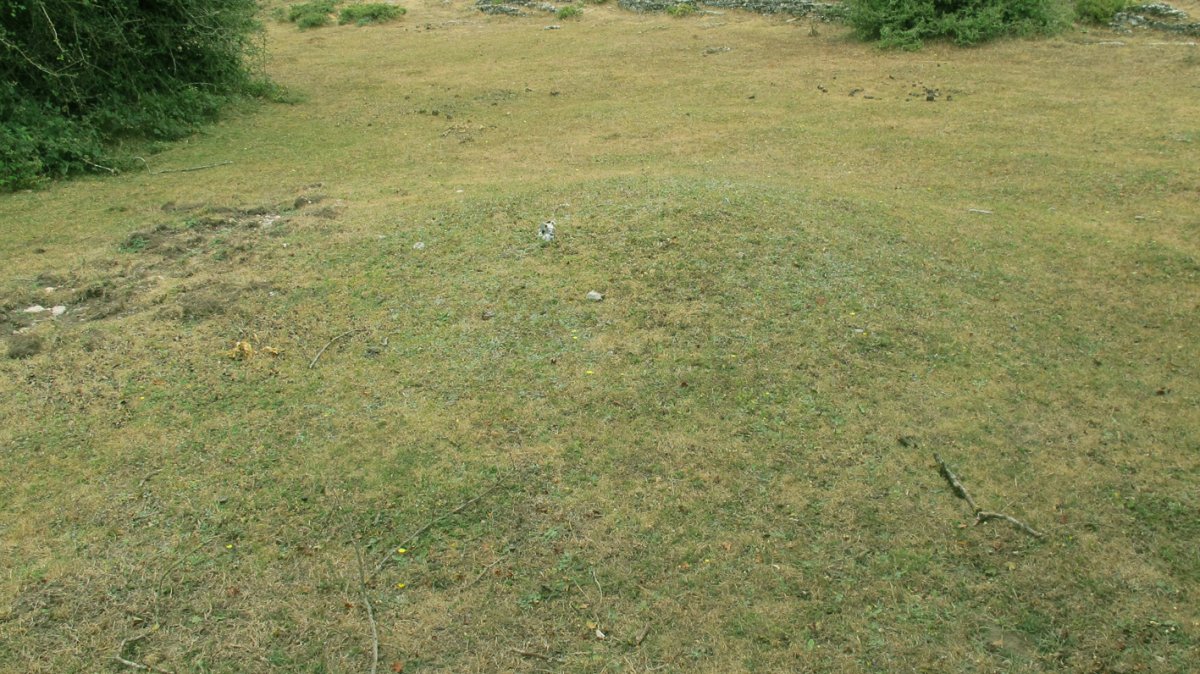 Pedrotxiki XXXIX tumulua, Urbasa