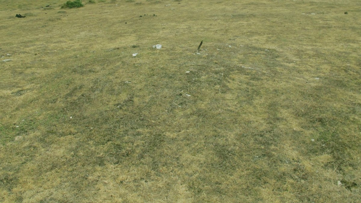 Pedrotxiki XXXVII tumulua, Urbasa