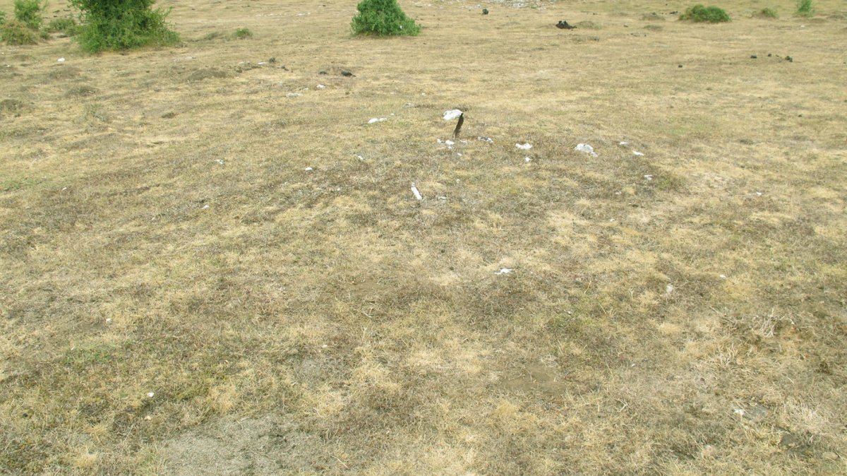 Pedrotxiki XXXVII tumulua, Urbasa