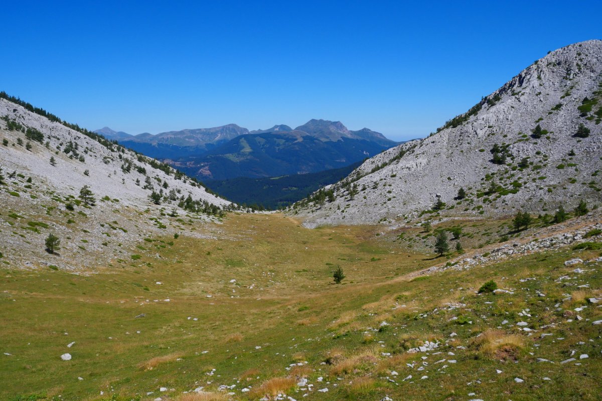Baines eta Ezkaurre arteko goi-bailarako larre eremua
