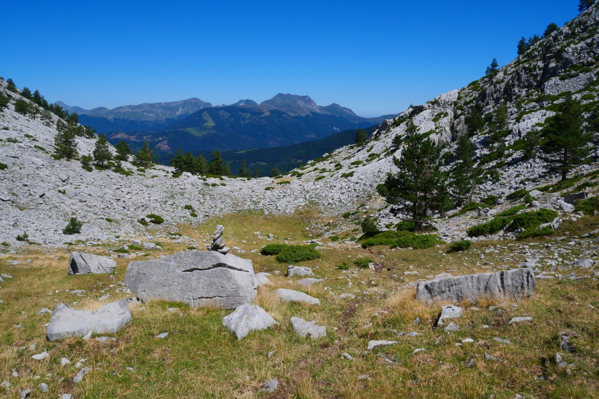 Ezkaurreko kobaren inguruetan