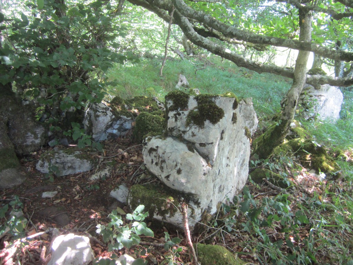 Lizarrandigañe 1 Este