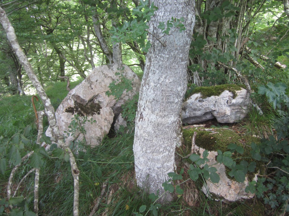 Lizarrandigañe 2 Oeste