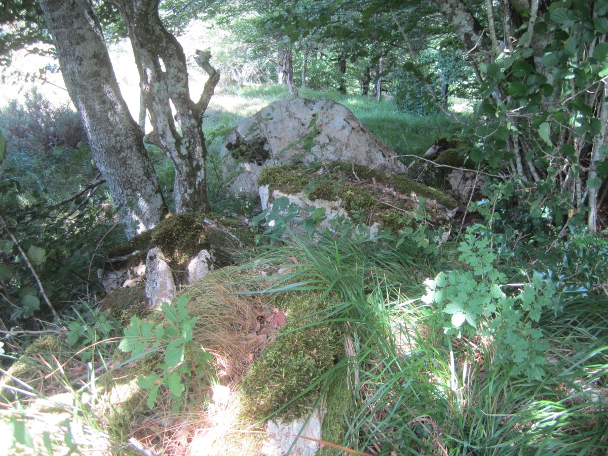 Lizarrandigañe 2 Oeste