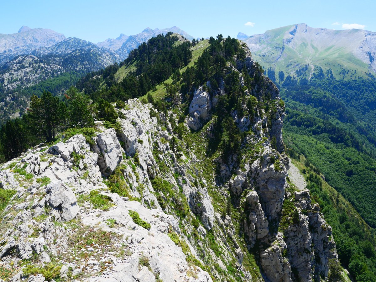 Lapazarra mendebaldeko bizkarretik