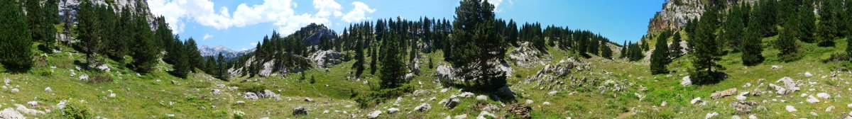 GR bidea Larreria lepoaren inguruan