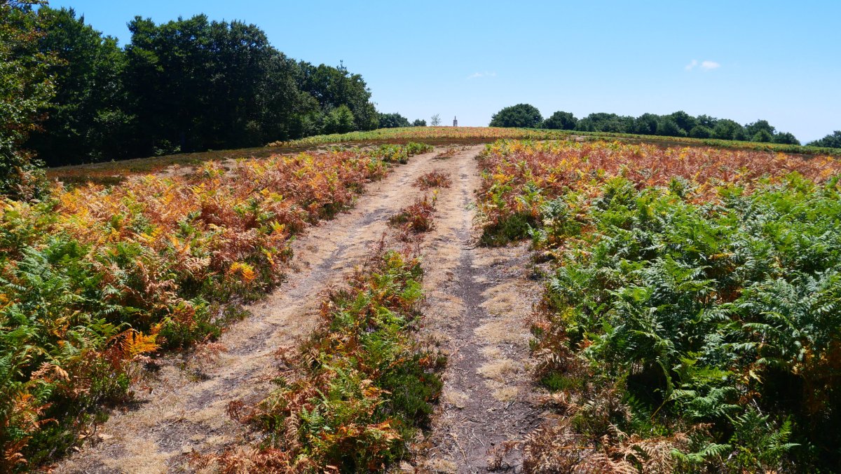 Corona/Errazu gailurra