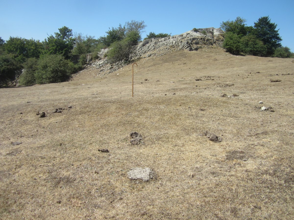 Fondo de Cabaña Ollideko Bizkarra 1 (Agosto 2022)