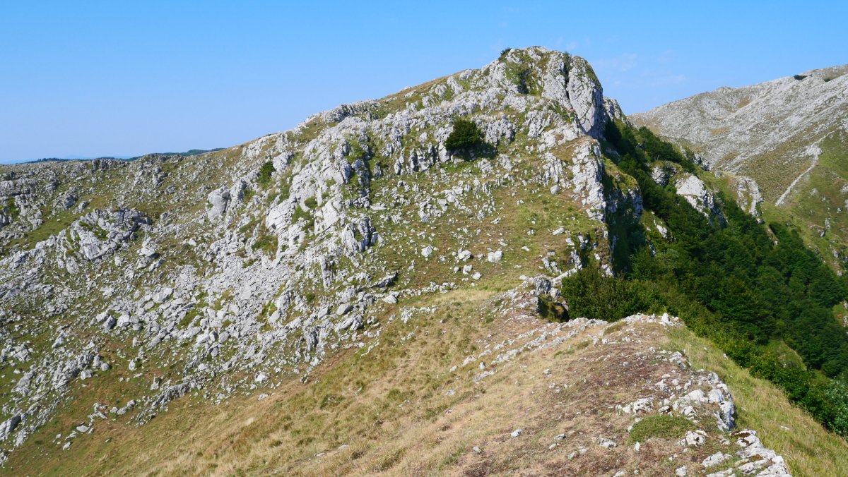 Kurutzeaga ekialdetik