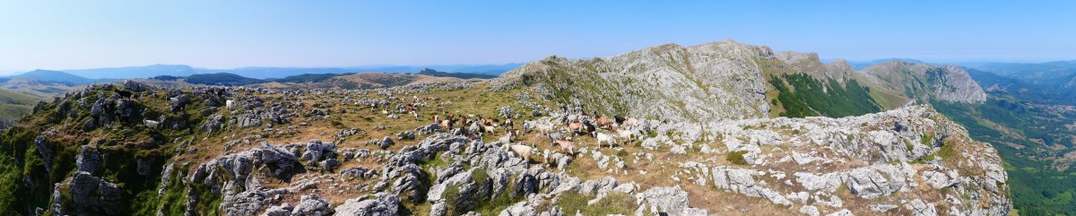 Ahuntz taldea, Aizpillagako muturrean