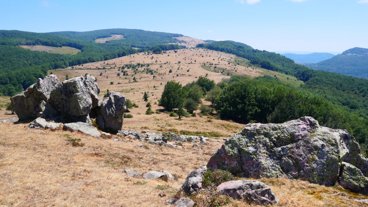 Korona Lerdengibel aldetik ikusita
