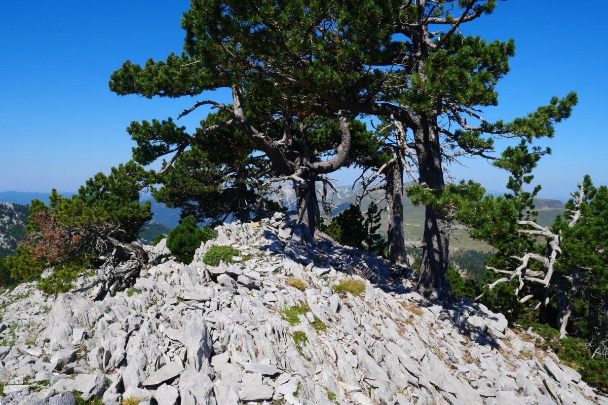 Puntal de Abajo de Ukerdi tontorra