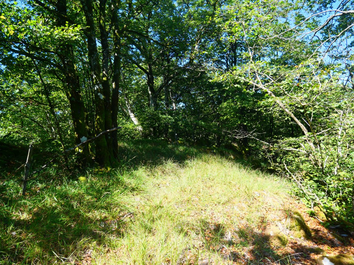 Irumugarrieta / Irumugeta / Irumuga tontorra, ekialdean