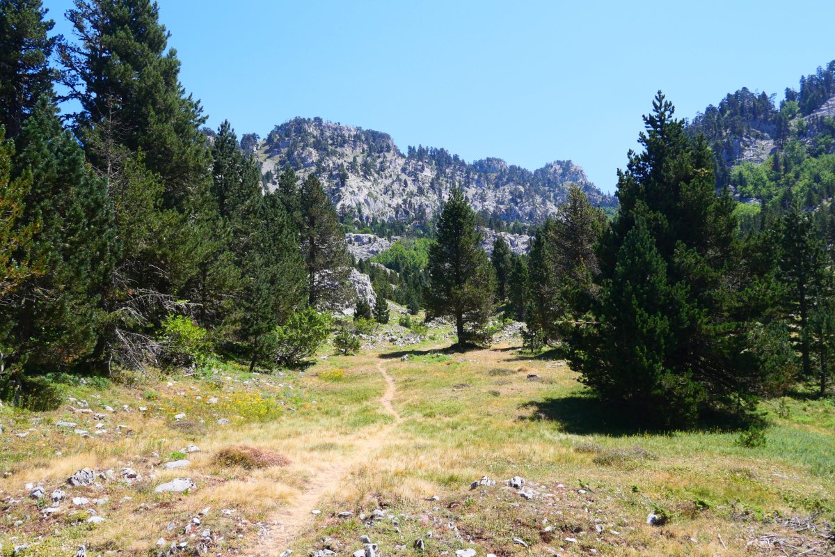 GR12aren arrastora itzultzen