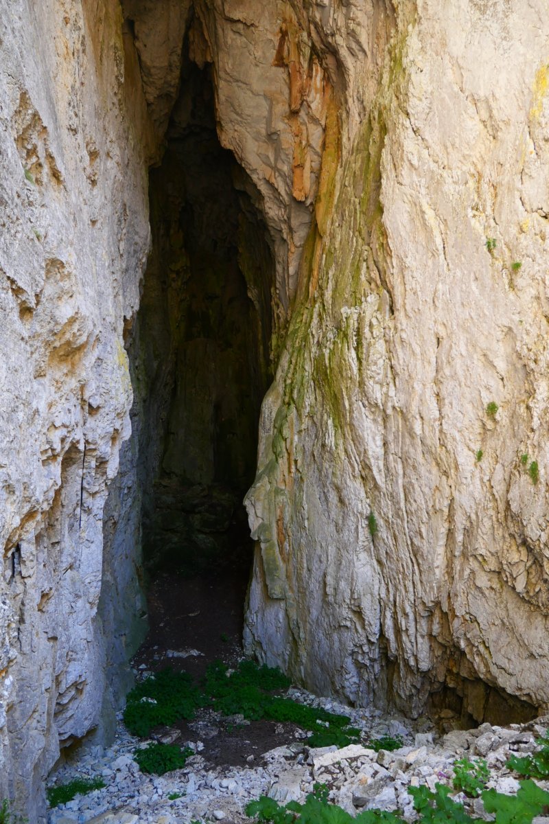 Ezkaurreko Pasabideko koba