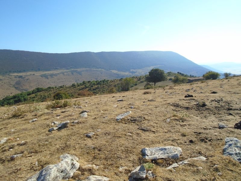 corrales de arteta 1