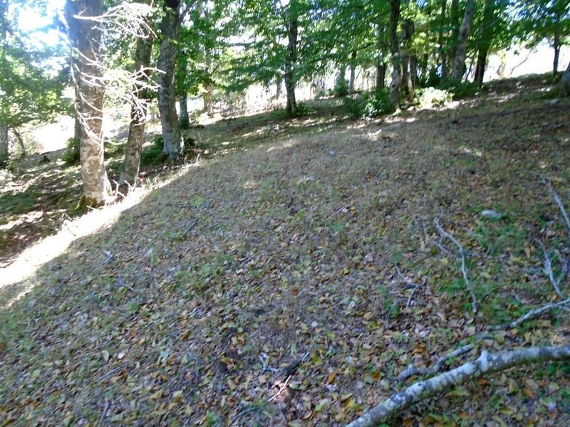 mugalarribel etxola hondoa