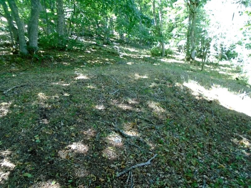 mugalarribel etxola hondoa