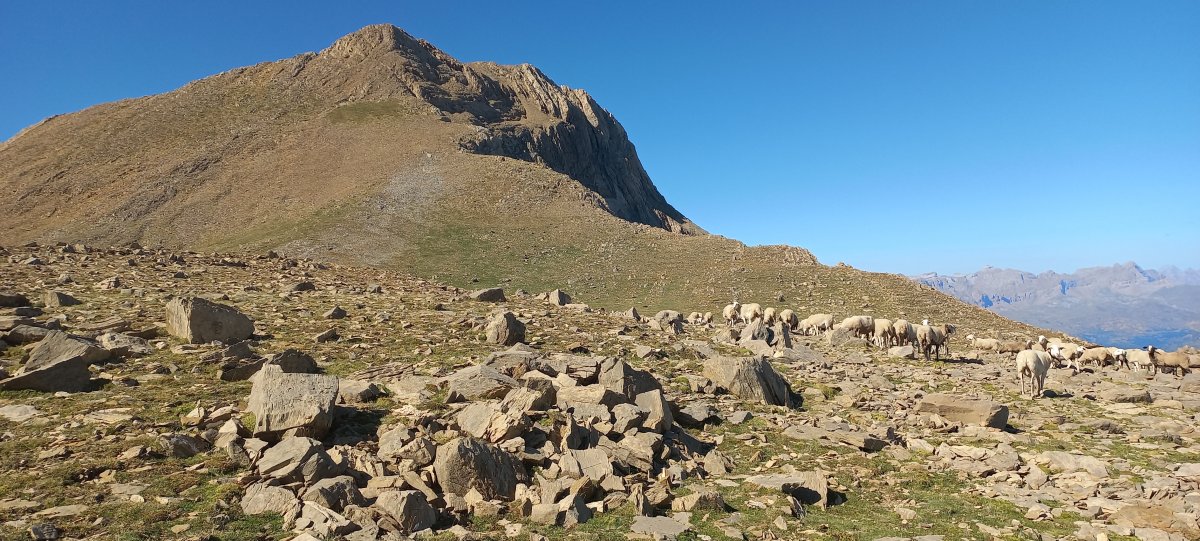 Tendeñera (2853m) azken zatiaren aurreko lepoan