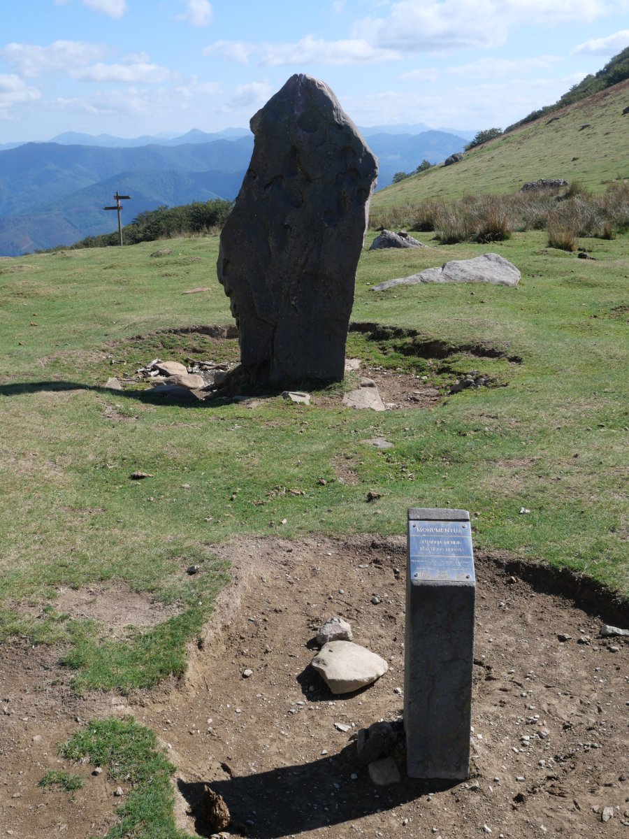 Buztizko lepoa zutarria