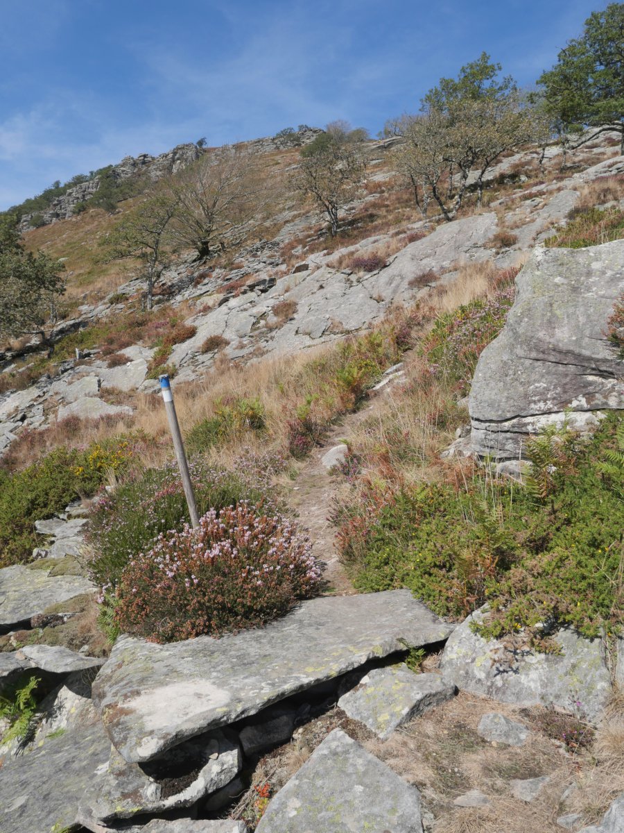 Jaitsierako pasarte bat